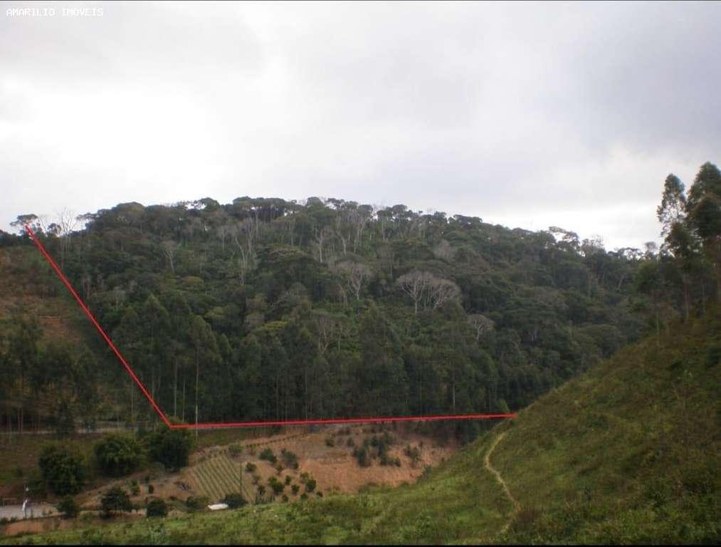 Terreno, 8 hectares - Foto 1