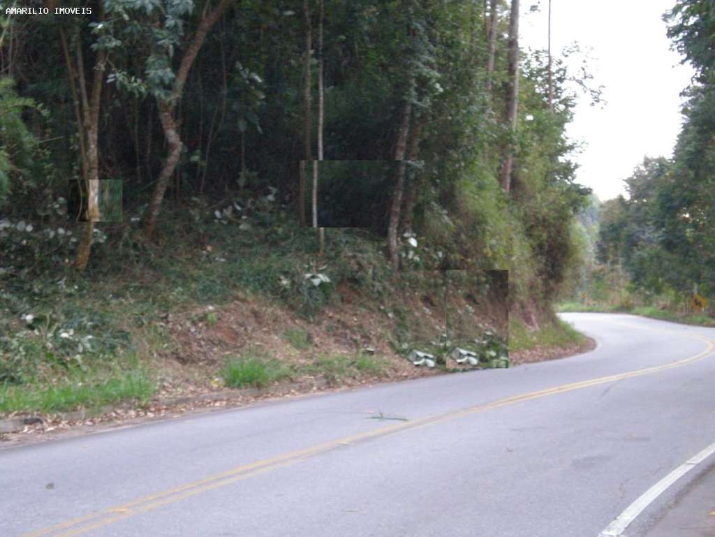 Terreno, 8 hectares - Foto 4