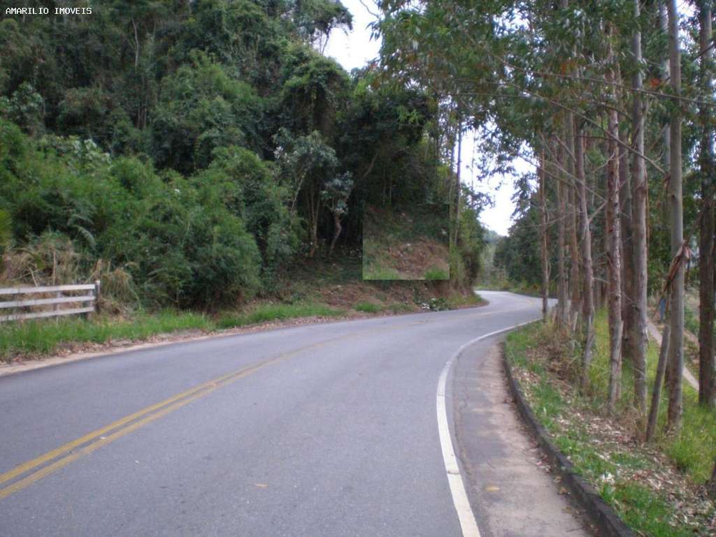 Terreno, 8 hectares - Foto 6