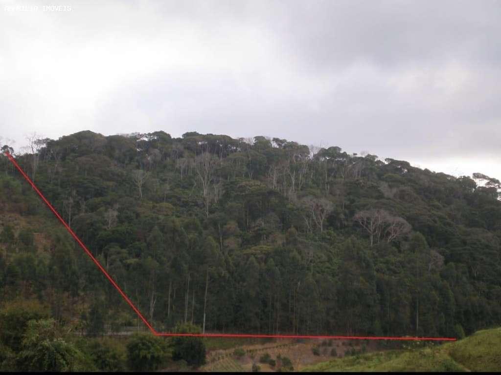 Terreno, 8 hectares - Foto 2