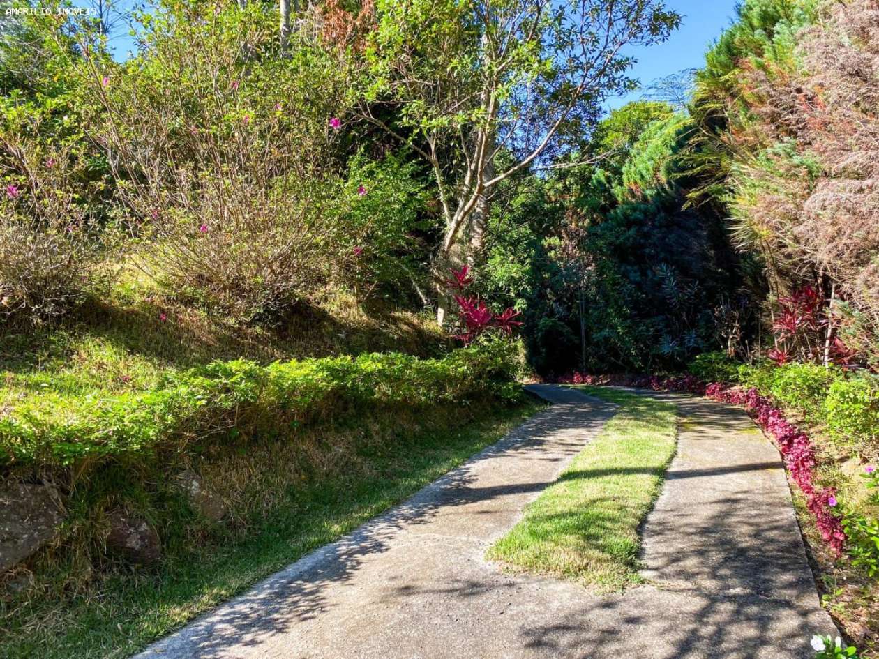 Chácara, 3 quartos, 6000 m² - Foto 28