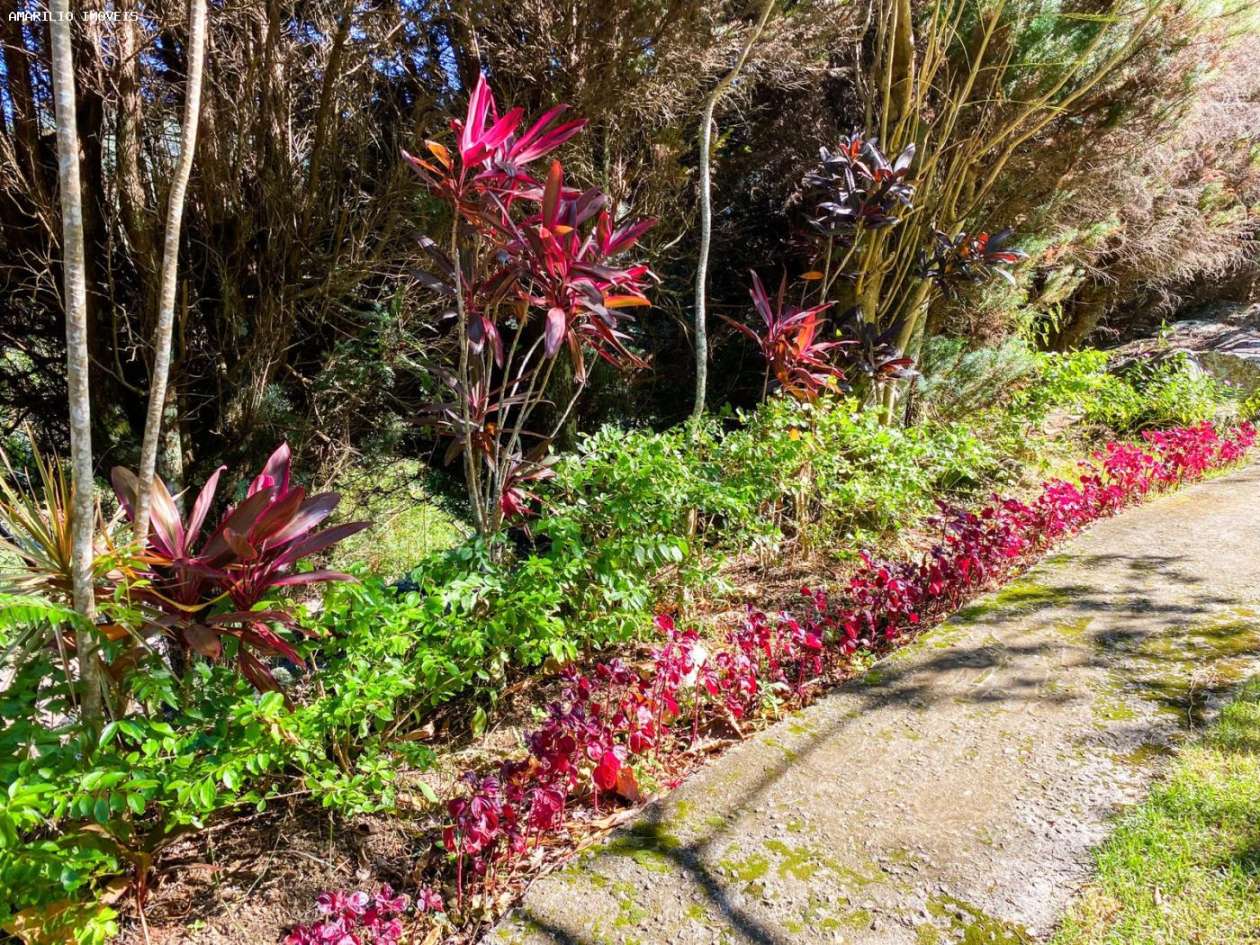 Chácara, 3 quartos, 6000 m² - Foto 35