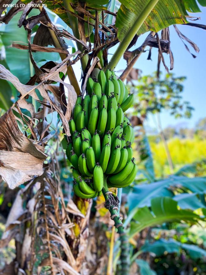 Chácara, 3 quartos, 6000 m² - Foto 37