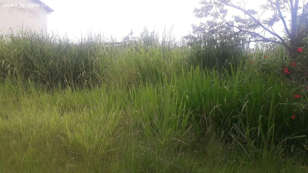 Terreno, 368 m² - Foto 5