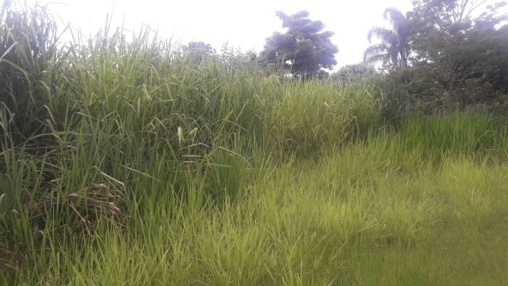 Terreno, 368 m² - Foto 6