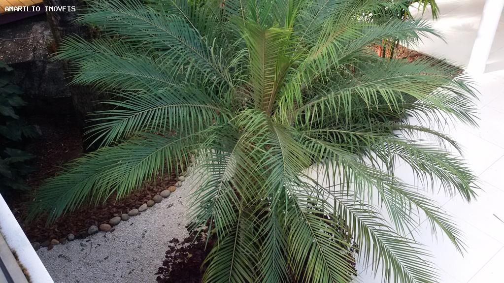 Casa, 3 quartos, 807 m² - Foto 44