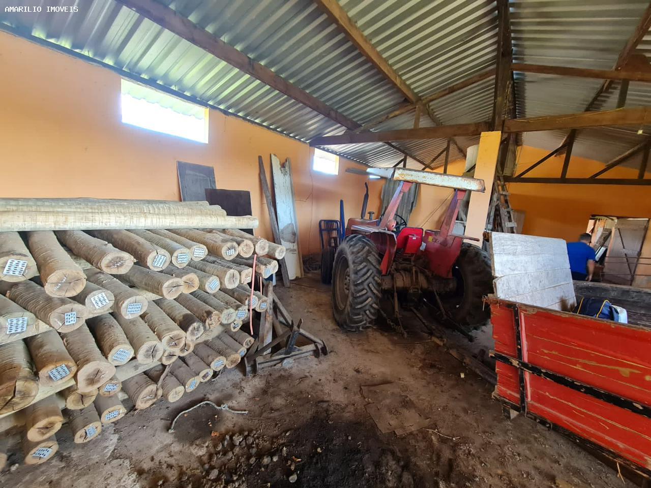 Fazenda, 252 hectares - Foto 6