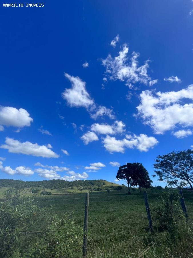 Fazenda, 252 hectares - Foto 31