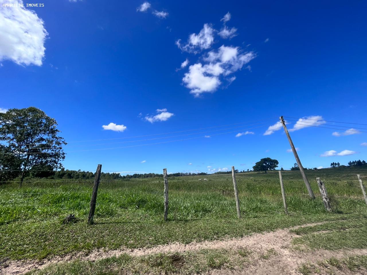 Fazenda, 252 hectares - Foto 37