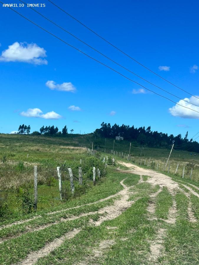 Fazenda, 252 hectares - Foto 38