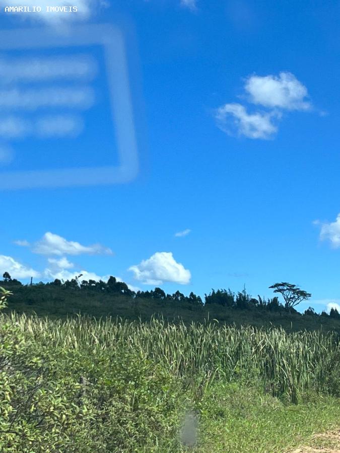 Fazenda, 252 hectares - Foto 33