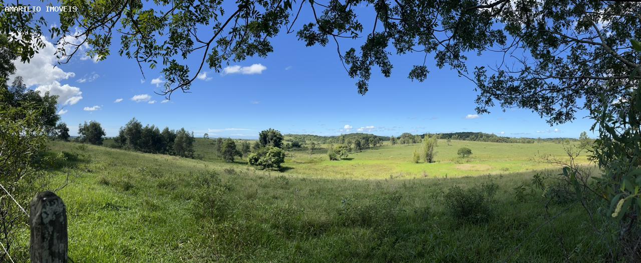 Fazenda, 252 hectares - Foto 44