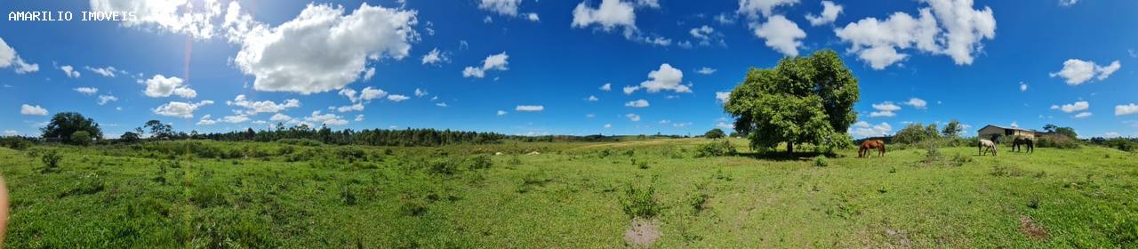 Fazenda, 252 hectares - Foto 52