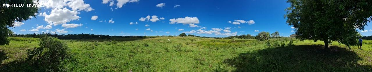 Fazenda, 252 hectares - Foto 53