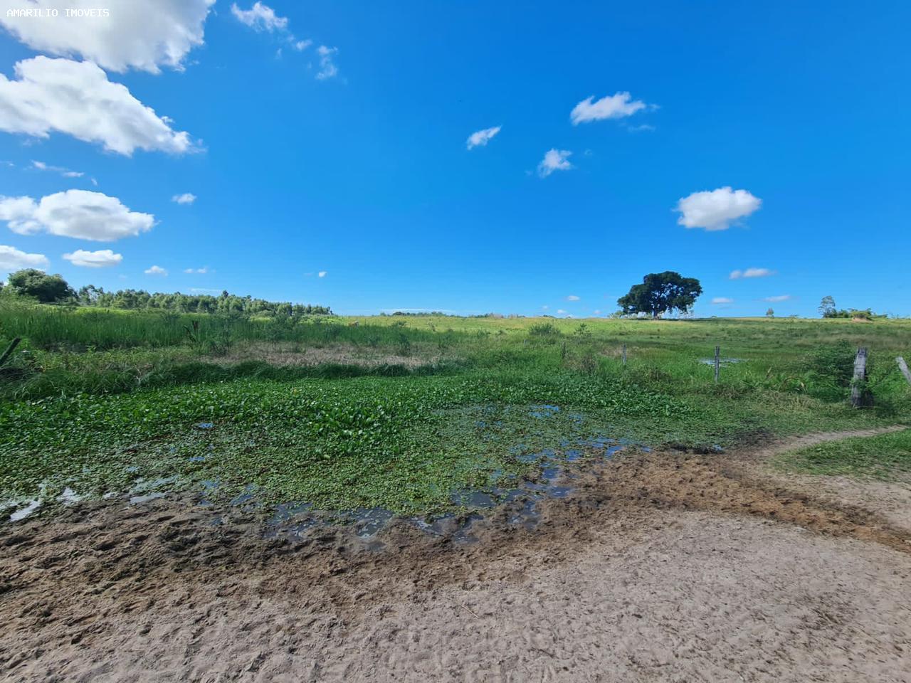 Fazenda, 252 hectares - Foto 58