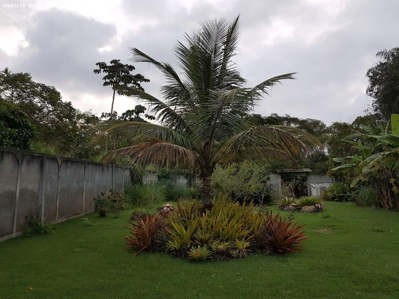 Chácara, 3 quartos, 2000 m² - Foto 31