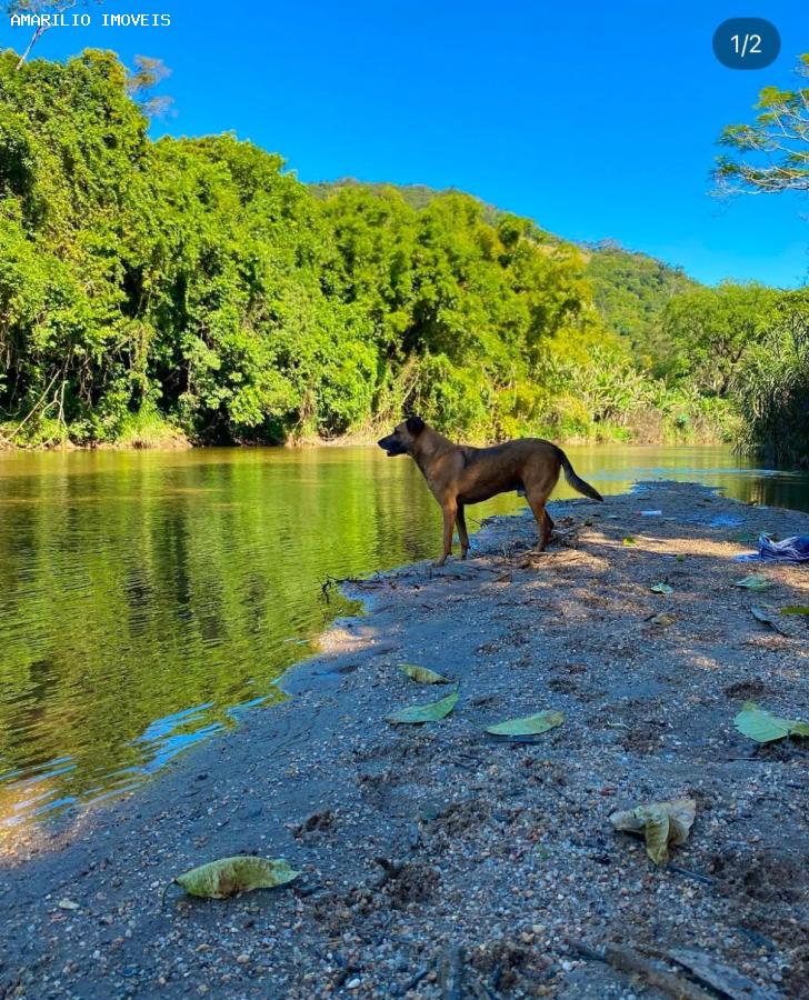 Chácara, 2 quartos, 2905 m² - Foto 14