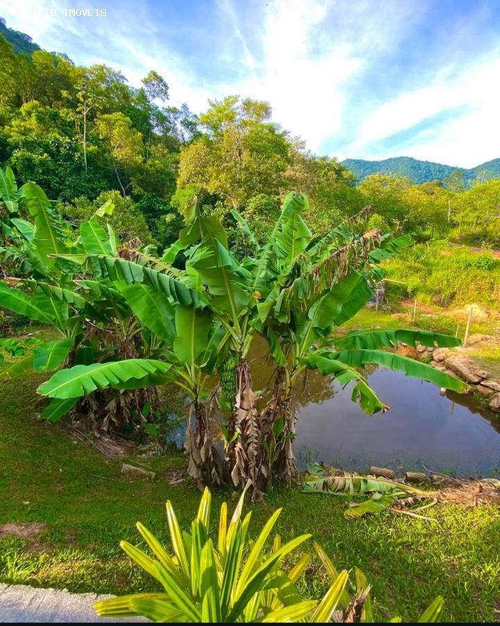 Chácara, 2 quartos, 2905 m² - Foto 12