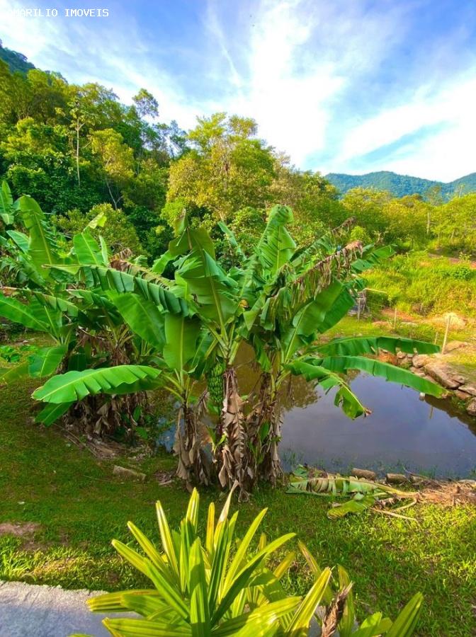 Chácara, 2 quartos, 2905 m² - Foto 13