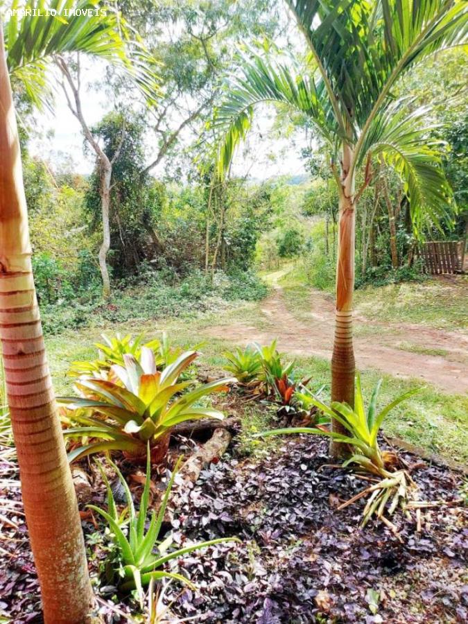 Chácara, 1 quarto, 4 hectares - Foto 25