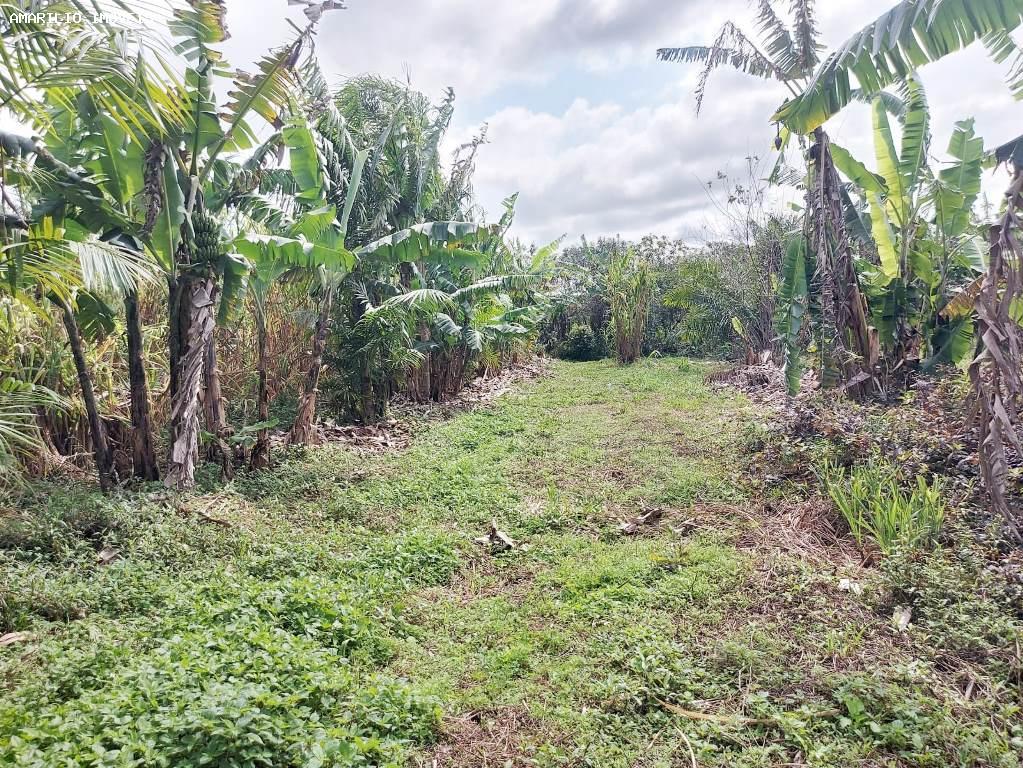 Chácara, 1 quarto, 4 hectares - Foto 26