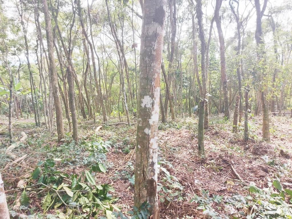 Chácara, 1 quarto, 4 hectares - Foto 31
