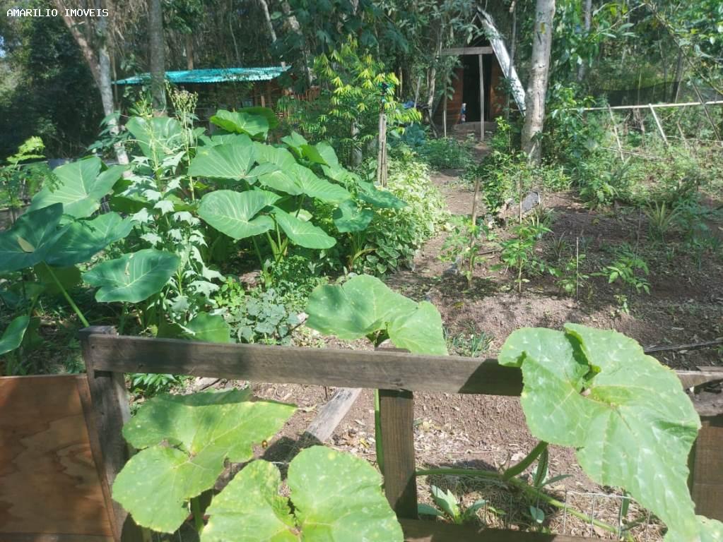 Chácara, 1 quarto, 4 hectares - Foto 32