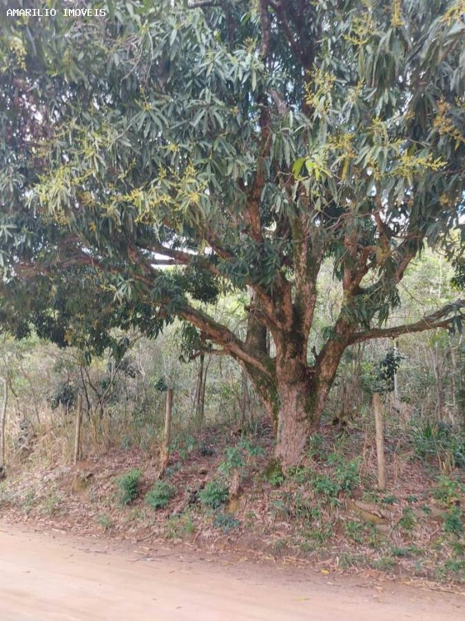 Chácara, 1 quarto, 4 hectares - Foto 35