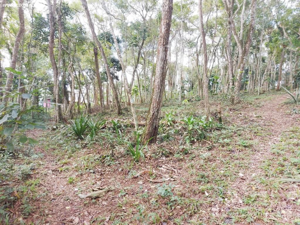 Chácara, 1 quarto, 4 hectares - Foto 34