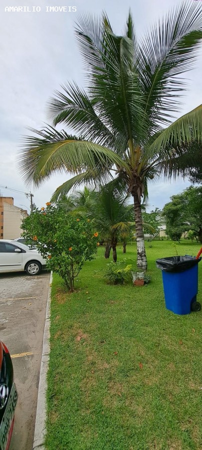 Apartamento, 2 quartos, 54 m² - Foto 26