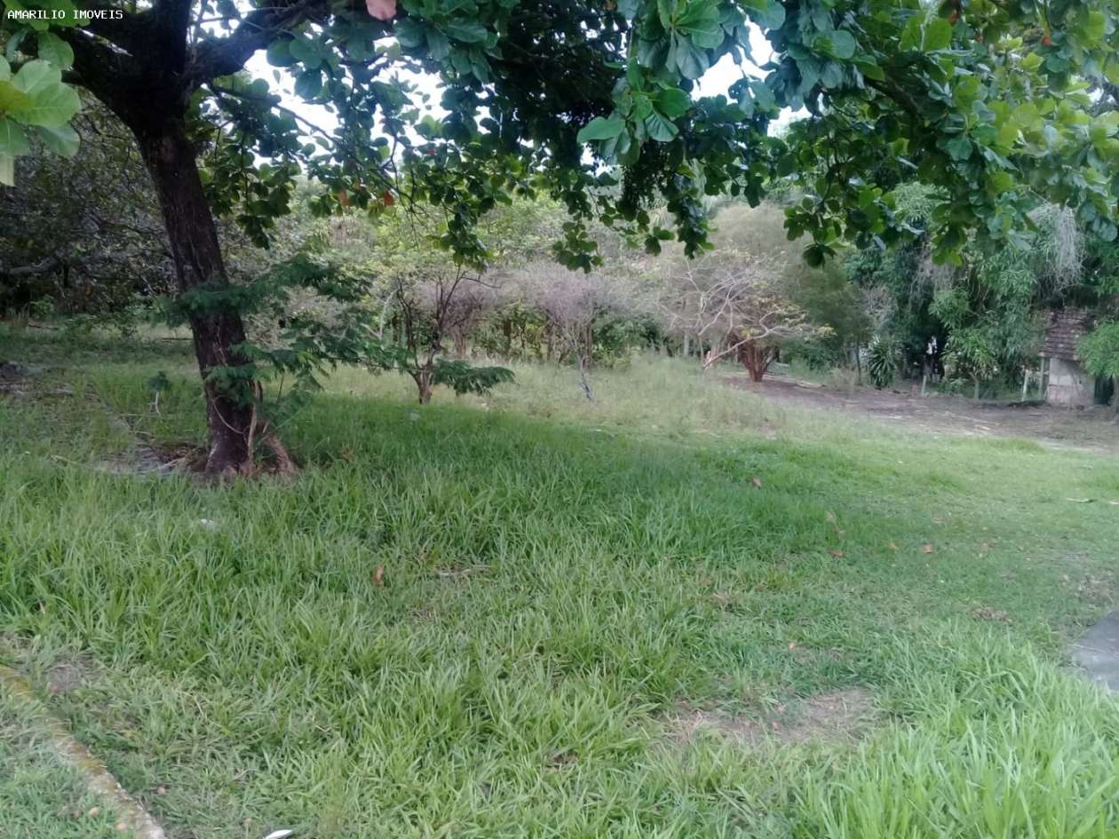 Terreno à venda, 7000m² - Foto 2