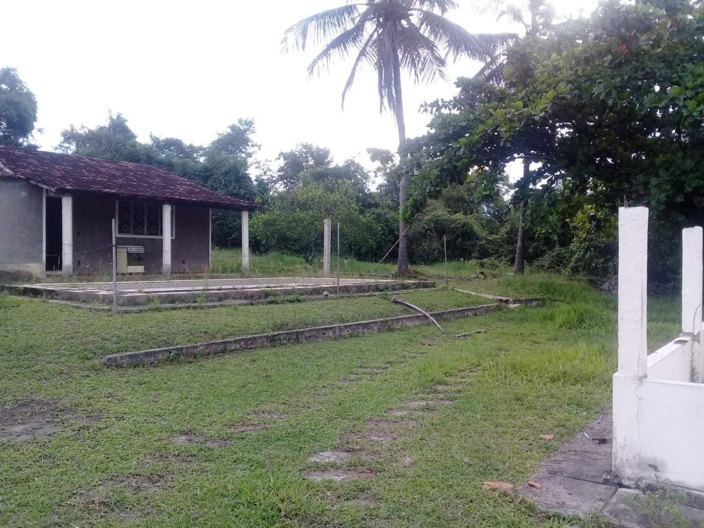 Terreno à venda, 7000m² - Foto 4