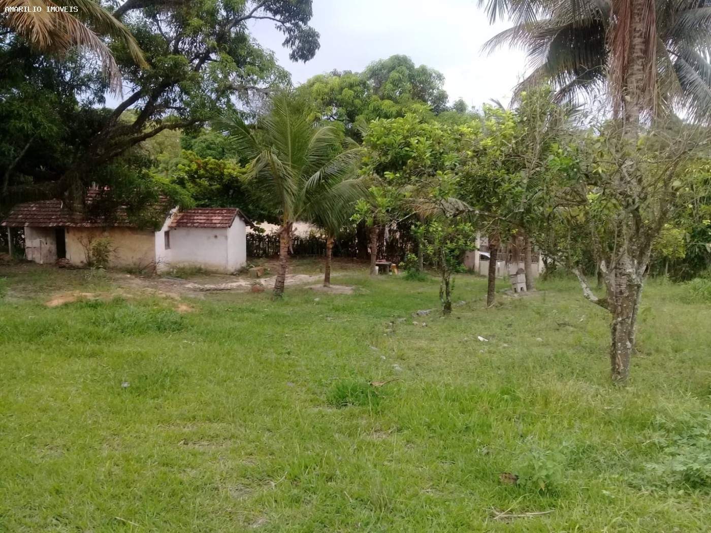 Terreno à venda, 7000m² - Foto 7