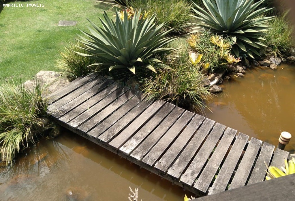 Fazenda, 45 hectares - Foto 38