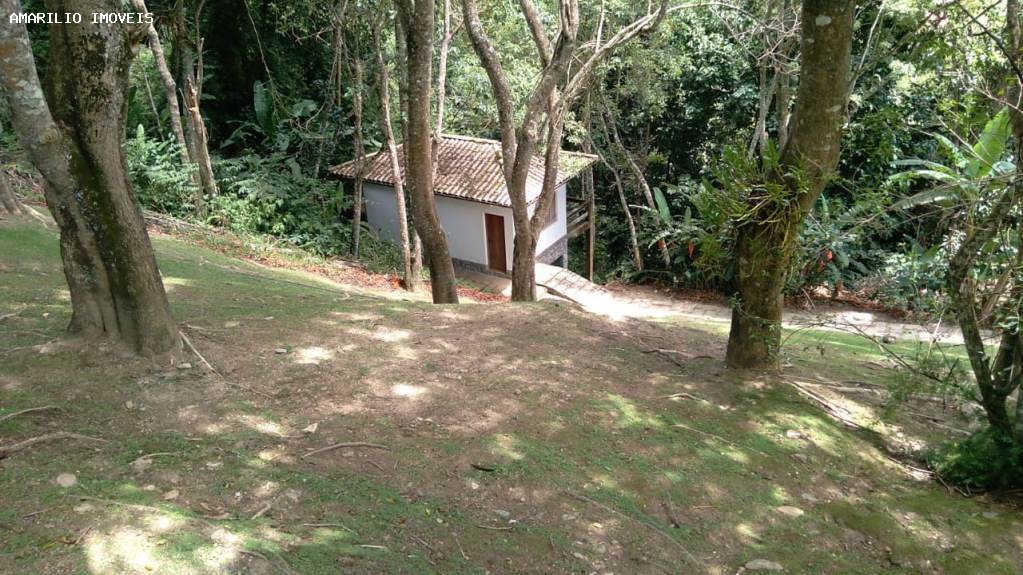 Fazenda, 45 hectares - Foto 41