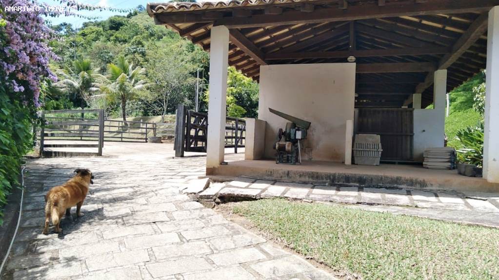 Fazenda, 45 hectares - Foto 52