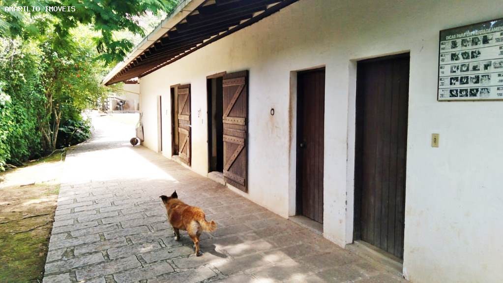 Fazenda, 45 hectares - Foto 53