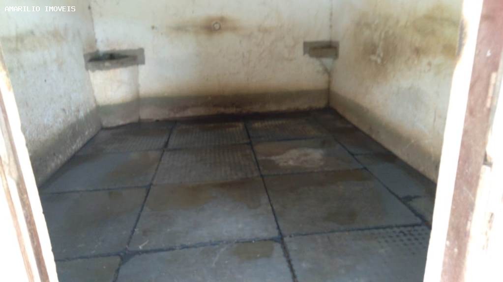 Fazenda, 45 hectares - Foto 55