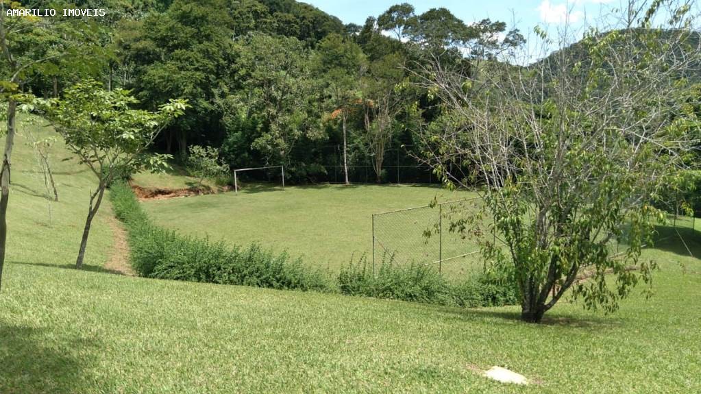 Fazenda, 45 hectares - Foto 58