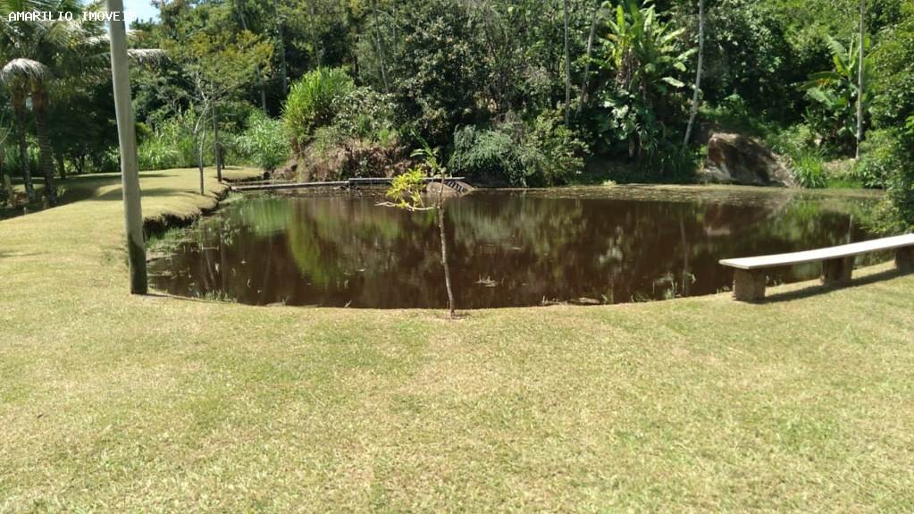 Fazenda, 45 hectares - Foto 61