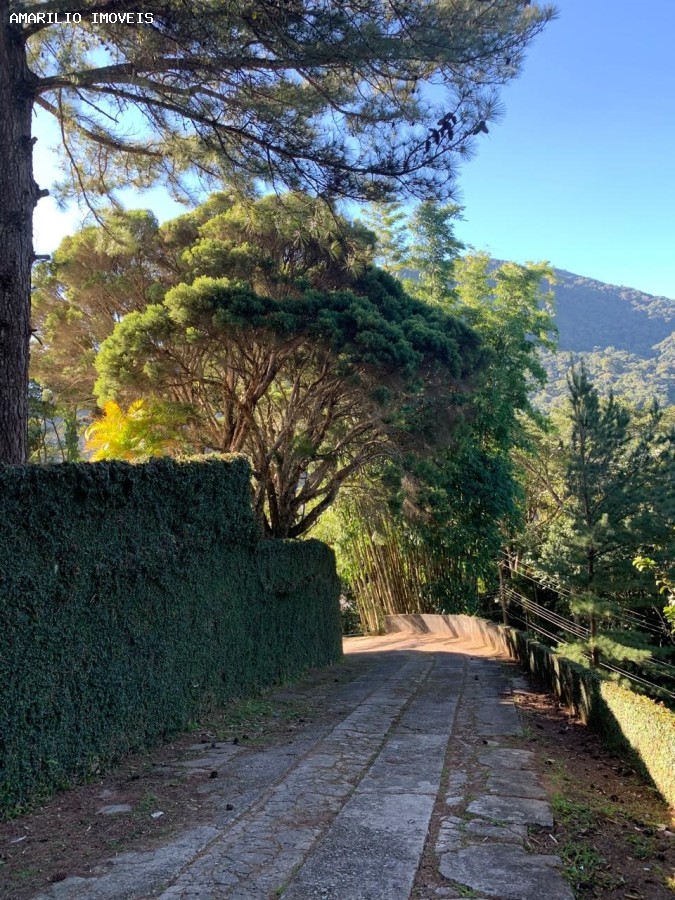 Casa, 4 quartos, 425 m² - Foto 32