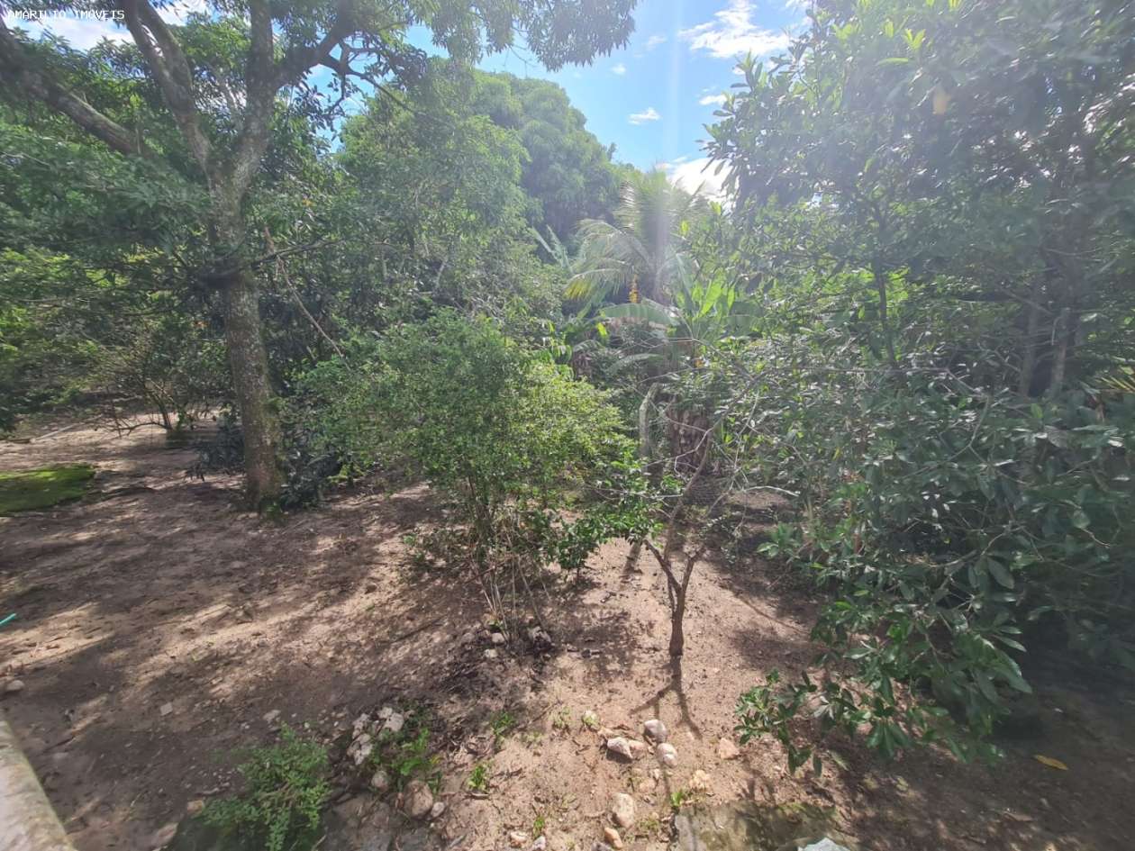 Casa, 3 quartos, 230 m² - Foto 37