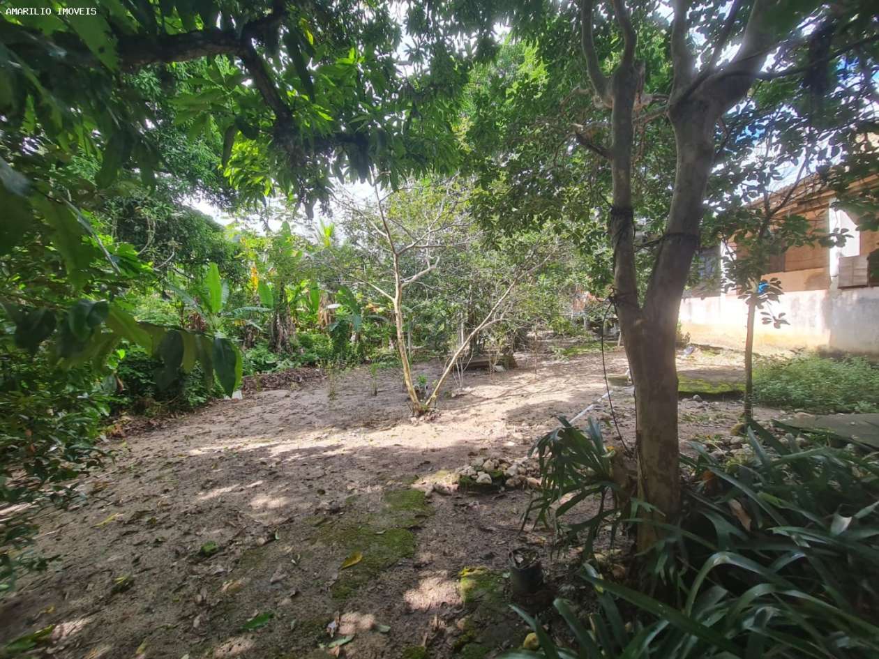 Casa, 3 quartos, 230 m² - Foto 38