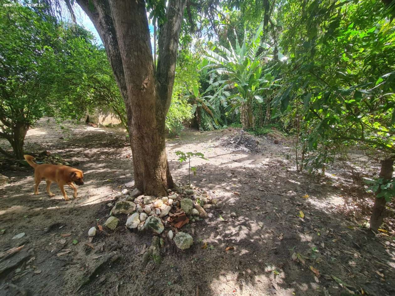 Casa, 3 quartos, 230 m² - Foto 39