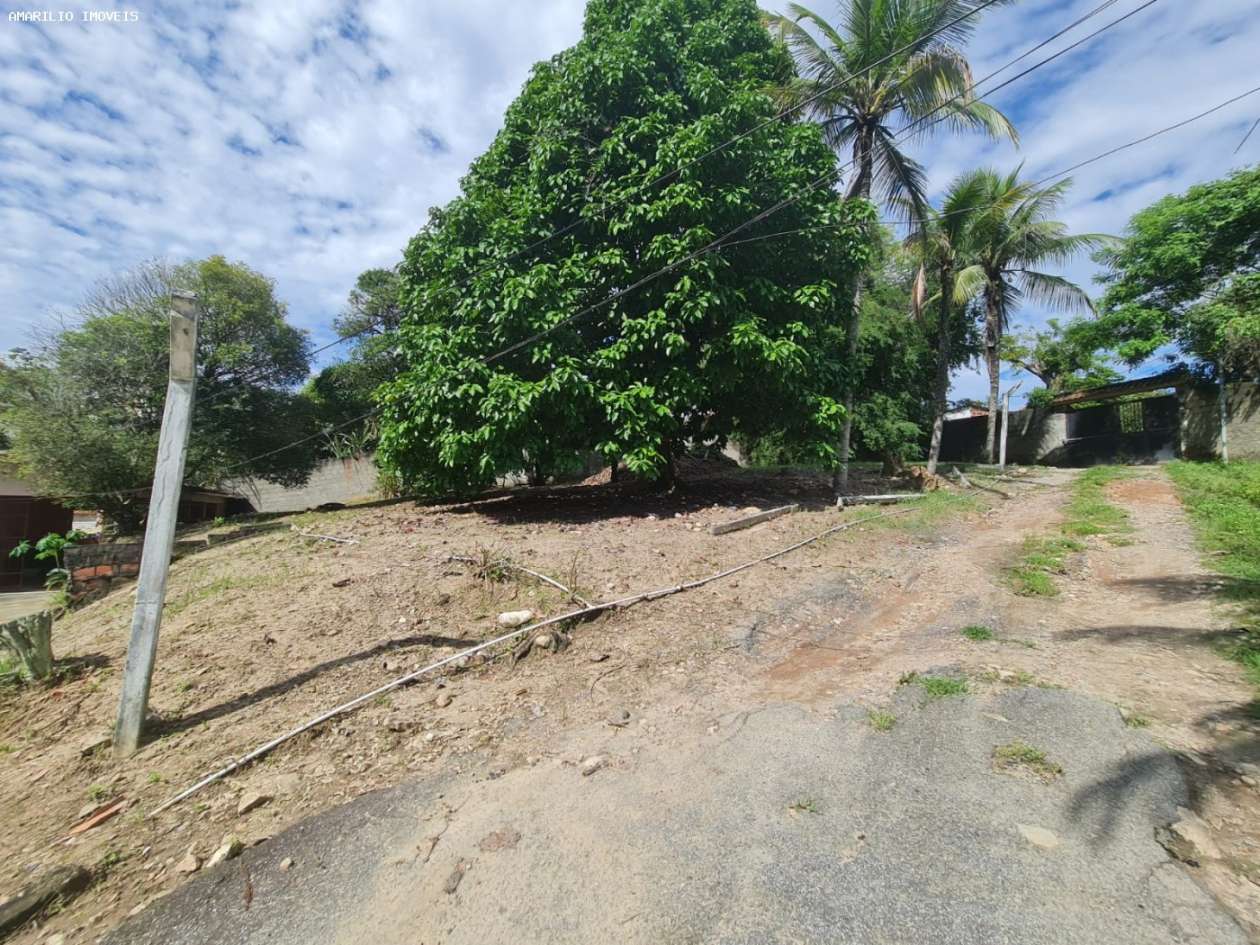 Casa, 3 quartos, 230 m² - Foto 40