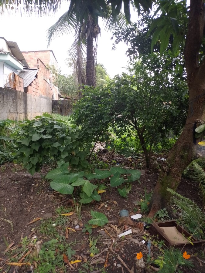 Casa, 3 quartos, 90 m² - Foto 13